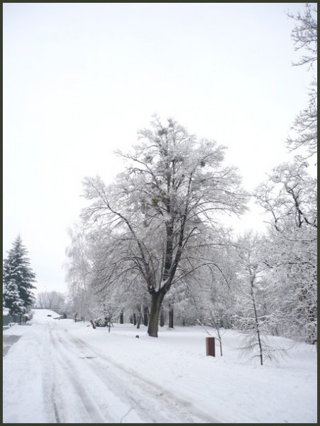 ulice