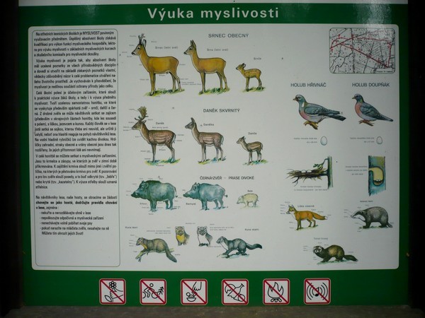 zv