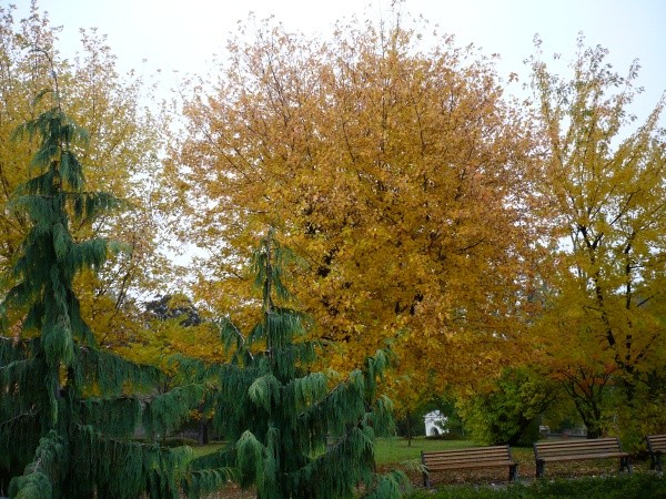 podzim