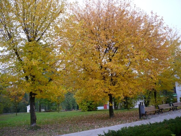 podzim