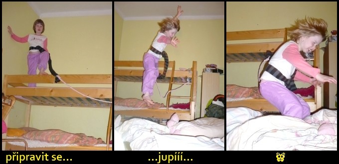 bungee