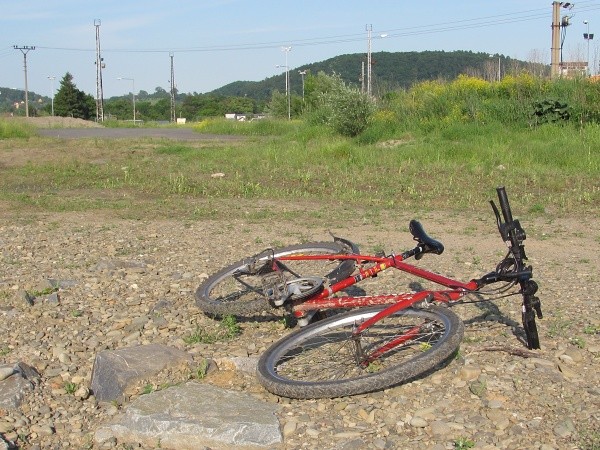 kolo