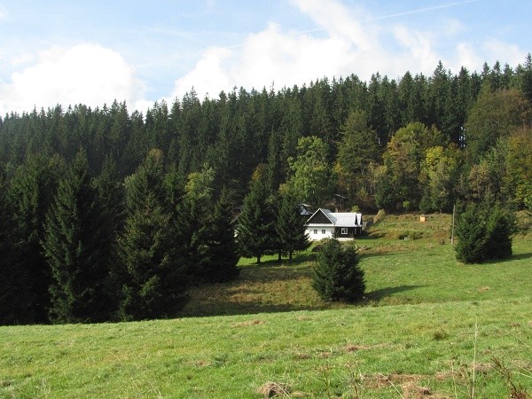 javoinka