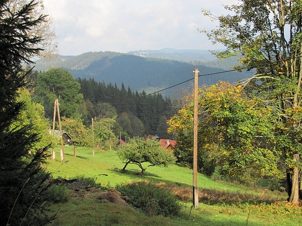 javoinka