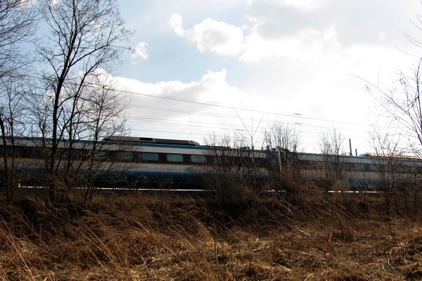 pendolino