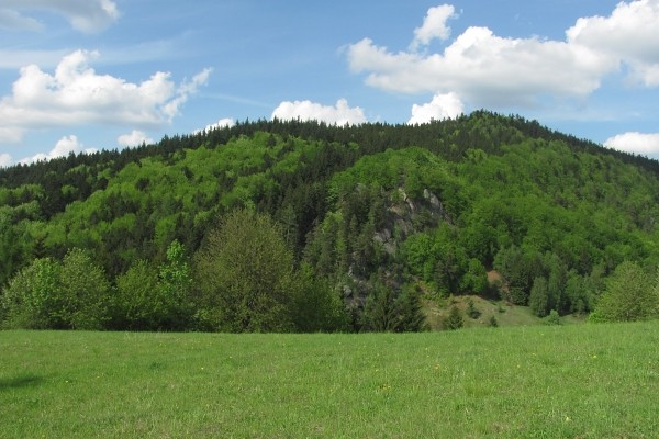 pulnsk skly