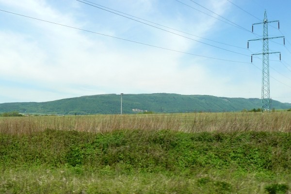 perov