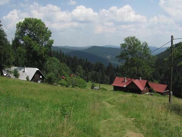 javoinka