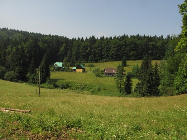 salajka