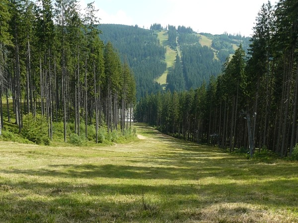sjezdovka