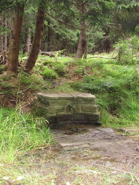 studnka