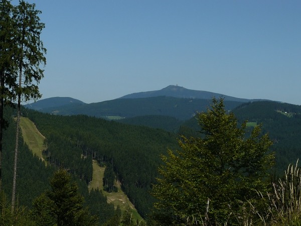 lys
