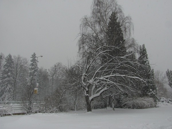 velikonoce
