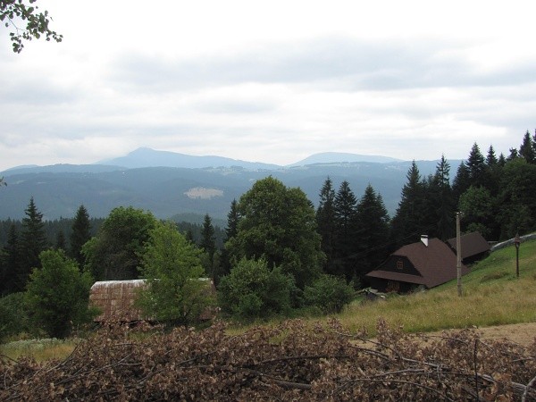 bobek
