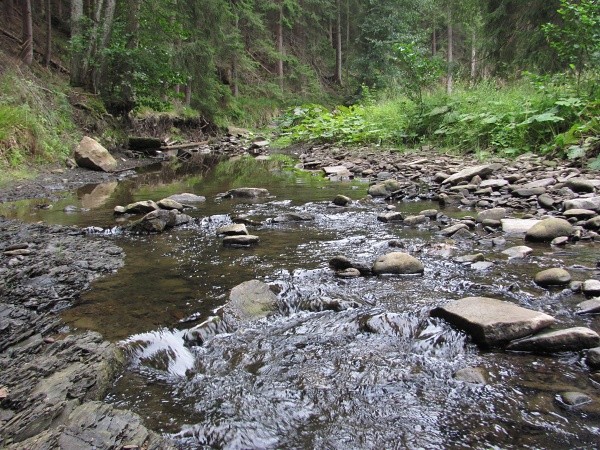 ern ostravice