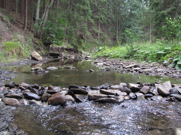 ern ostravice