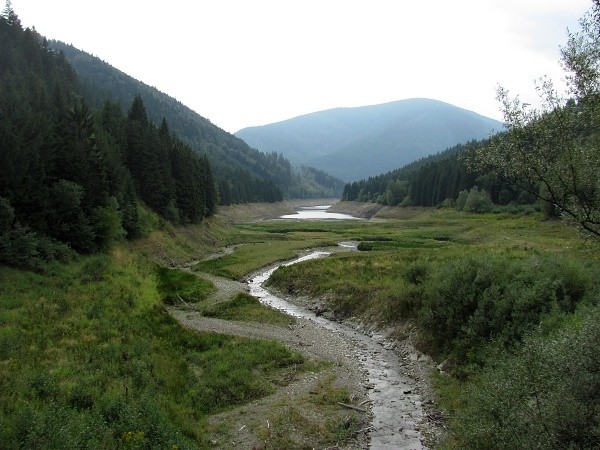 krvy