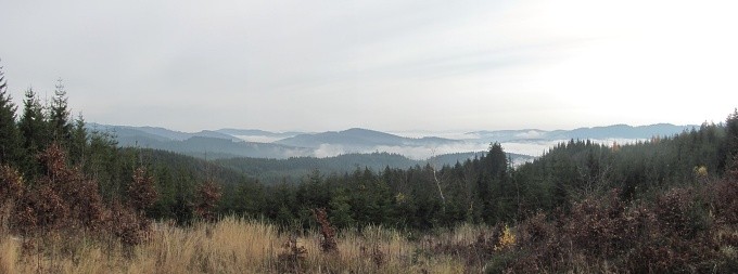 IMG_8996_panorama