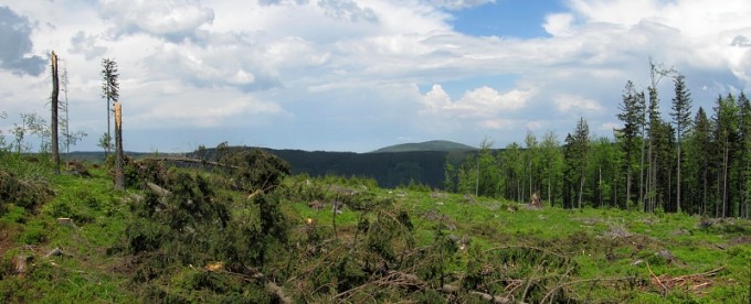 IMG_9667_panorama