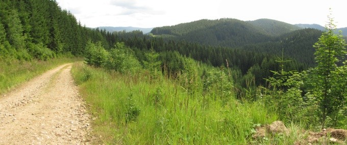 IMG_9926_panorama