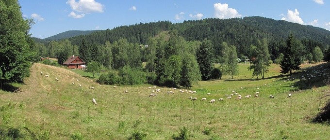 IMG_0032_panorama