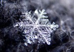 snowflake_andreas