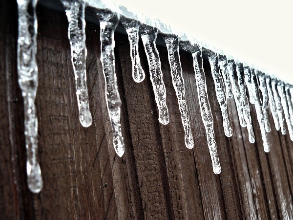 frozen