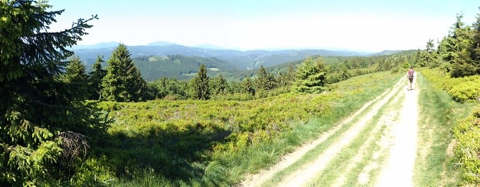 DSCF6185