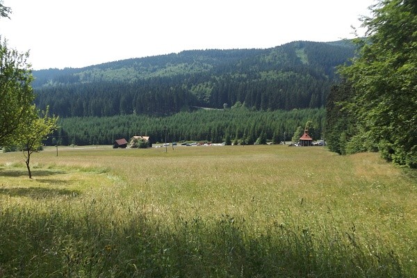 DSCF6399