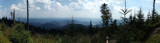 DSCF6547