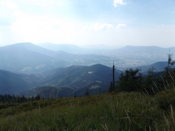 DSCF6557