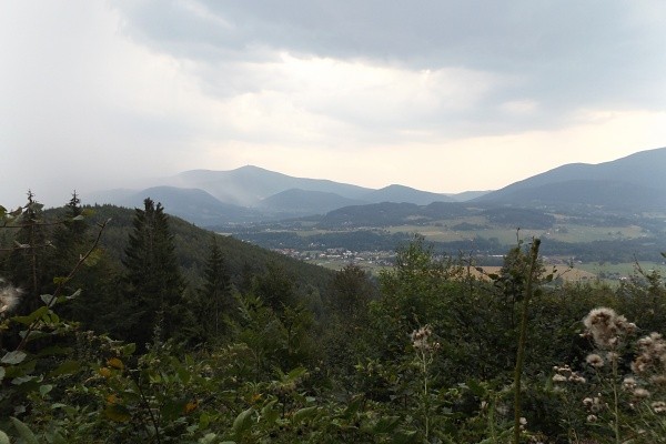 DSCF6636
