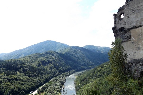 DSCF6678