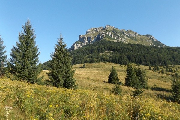 DSCF6836