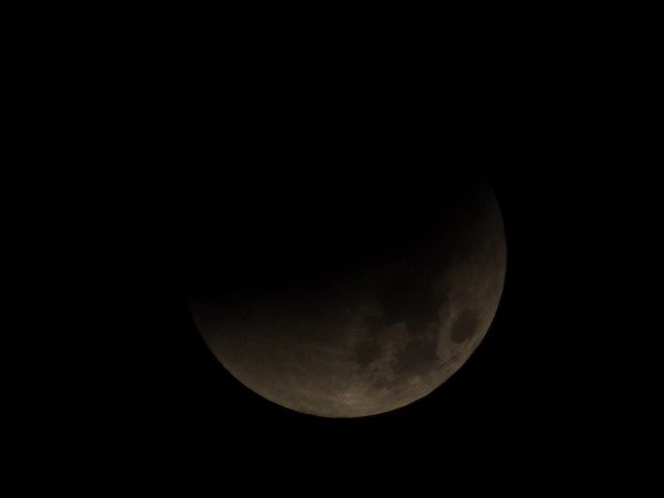 DSCF6952