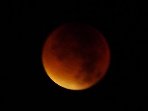 DSCF6974