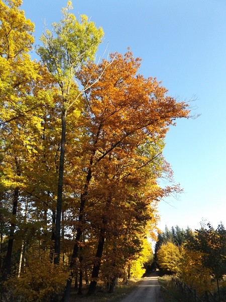 DSCF7120
