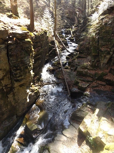 DSCF7862