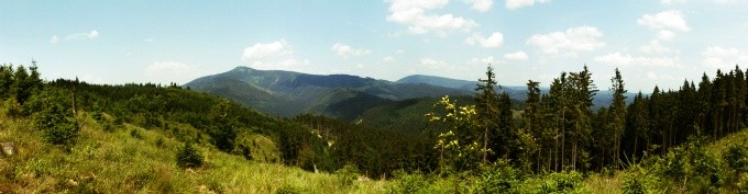 DSCF8376