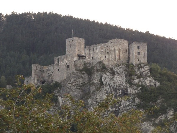 DSCF9195