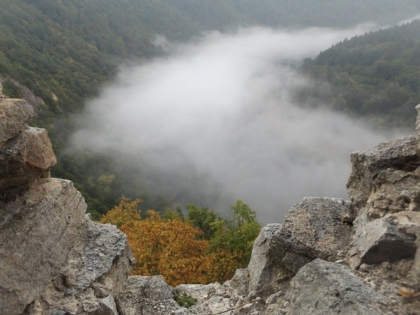 DSCF9198