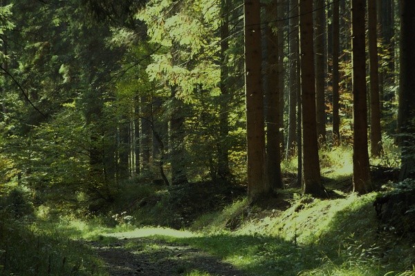 DSCF9579a