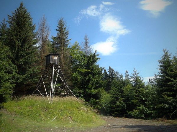 DSCF1388