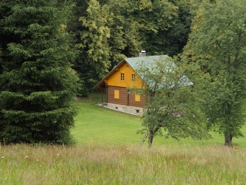 hjenka