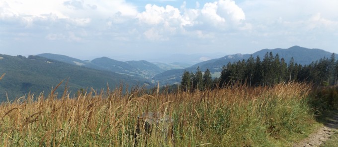 DSCF2915