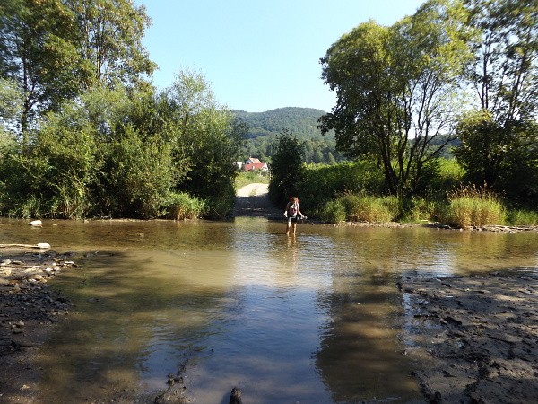 vlra