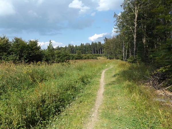 DSCF2958
