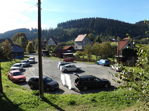 DSCF3152