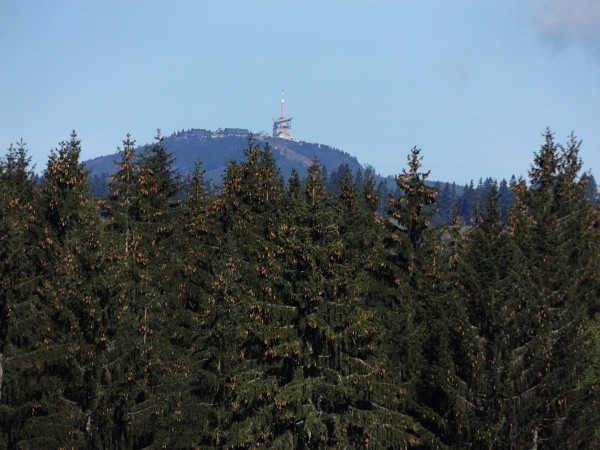 DSCF3163