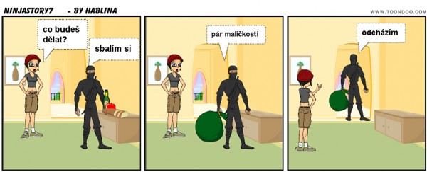 ninjastory